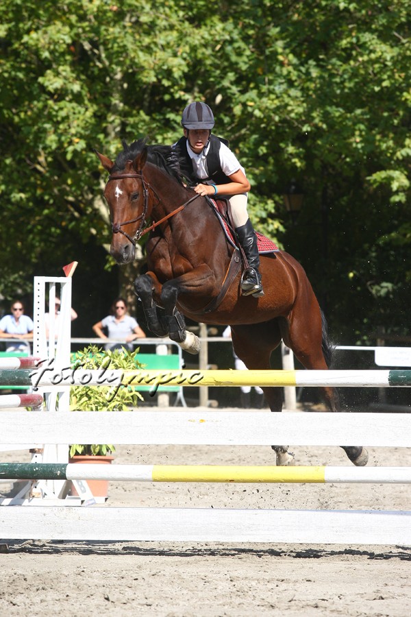 XXIII. CSN** San Fermin Memorial Teresa Moreno Adjuntamos notas de prensa diarias, fotos y resultados del concurso
